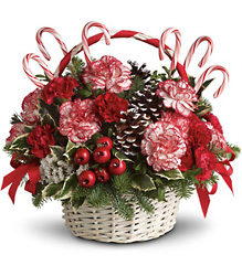 Candy Cane Christmas from Scott's House of Flowers in Lawton, OK